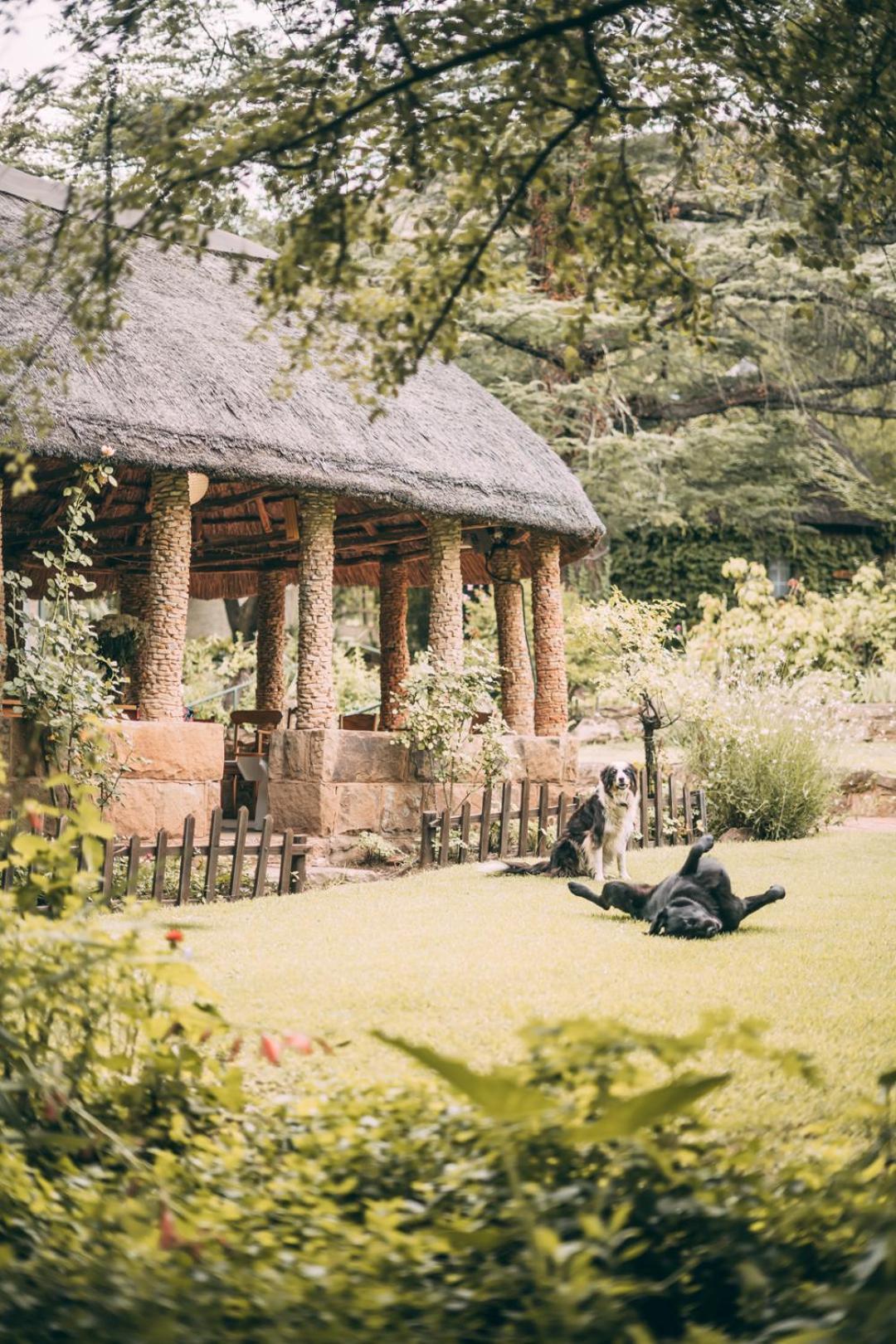 Wyndford Holiday Farm Fouriesburg Luaran gambar